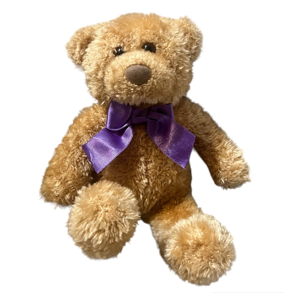 GUND Stride Rite Country Bear